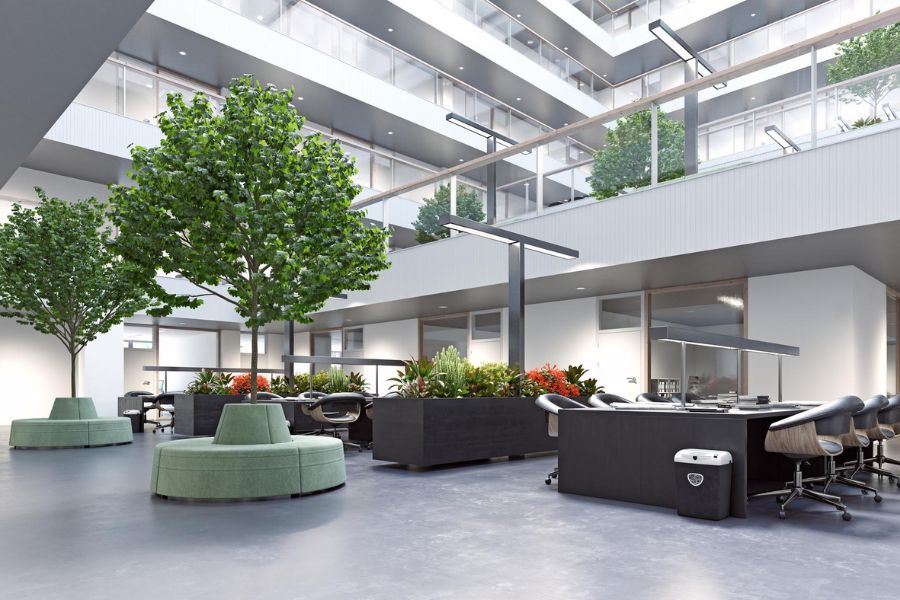 Sustainable Office Design: 5 Power-Packed Ideas